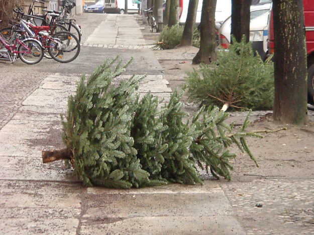 Christmas trees on a street in Berlin
